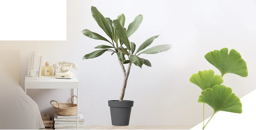 wall decal type botanical